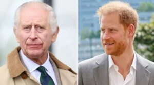 Prince Harry receives immense appreciation for his support towards King Charles