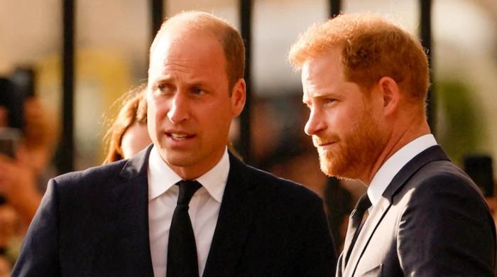 Prince Harry reveals first interaction with Prince William after bombshell confessions